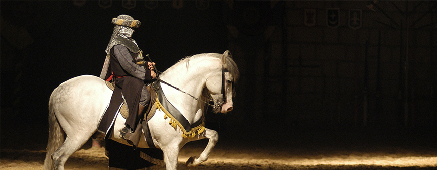 Medieval Adventure Tenerife