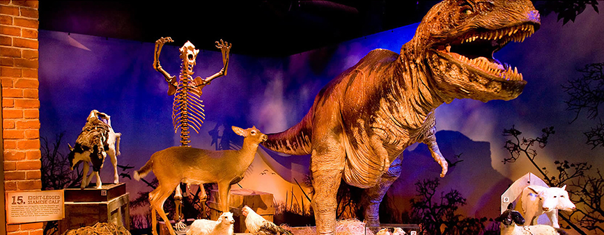 Ripleys Believe it or Not Blackpool