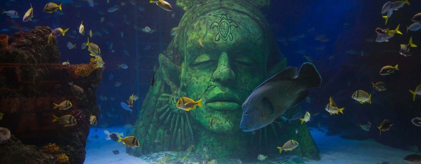 Sea Life Attractions