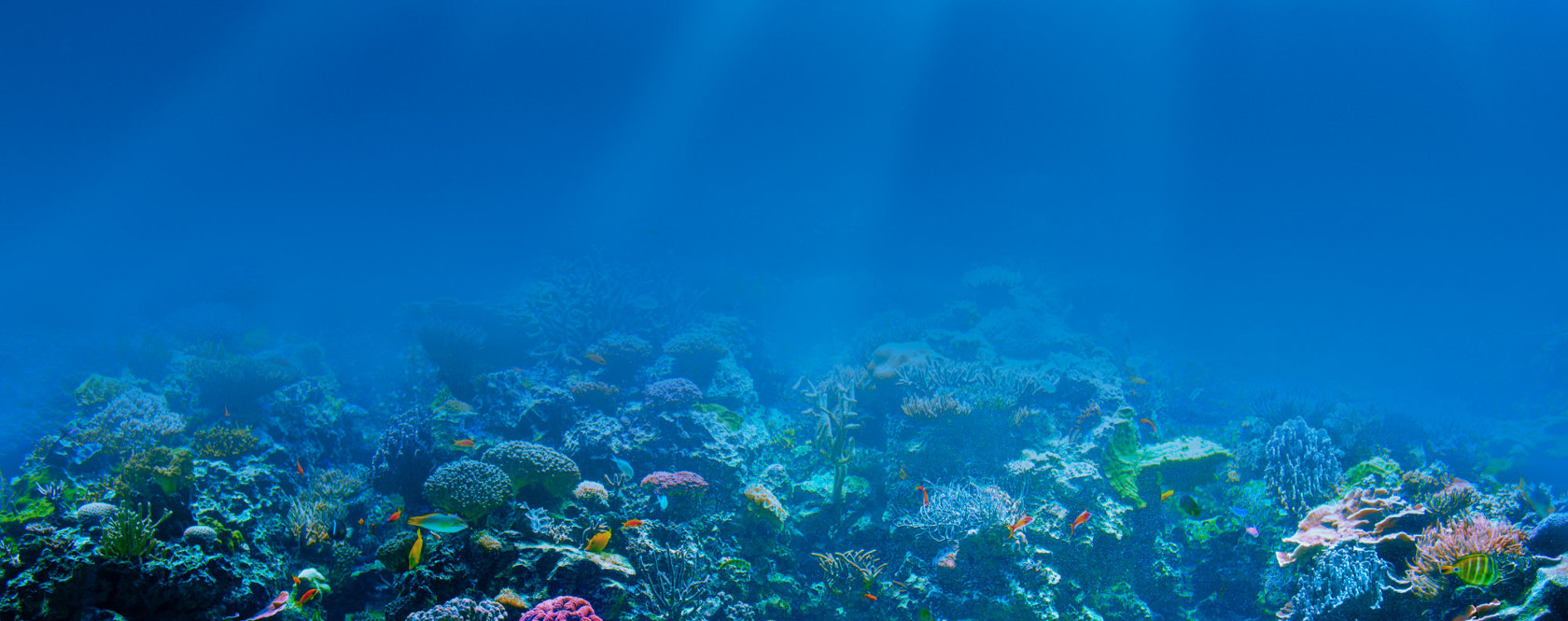 Submarine Safari Lanzarote